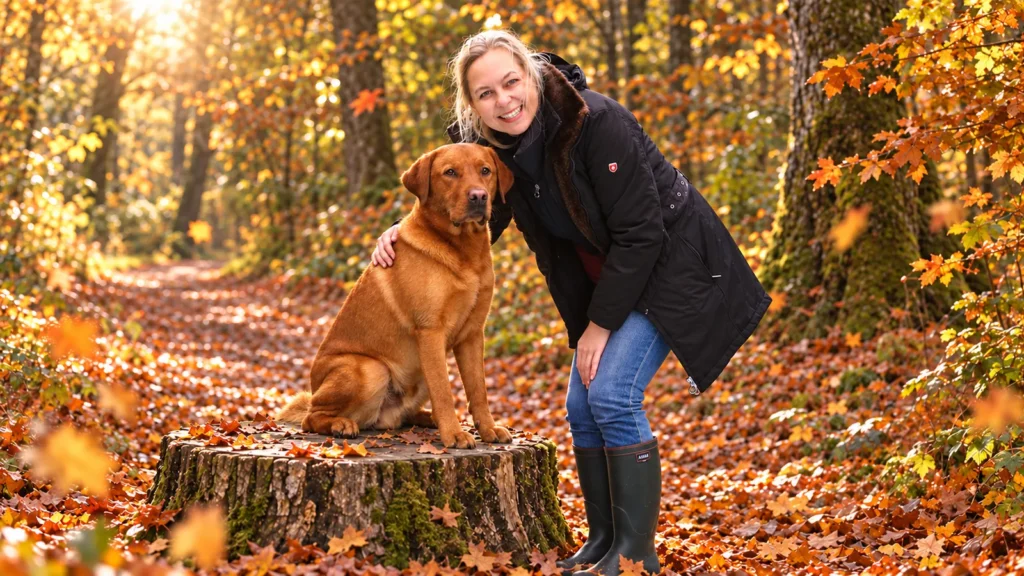 DOLPHi und Budino gemeinsam im sonnigen Herbstwald.
